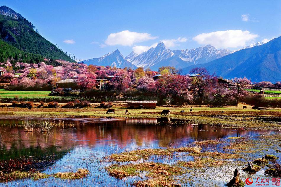Breathtaking scenery of Tibet's Nyingchi
