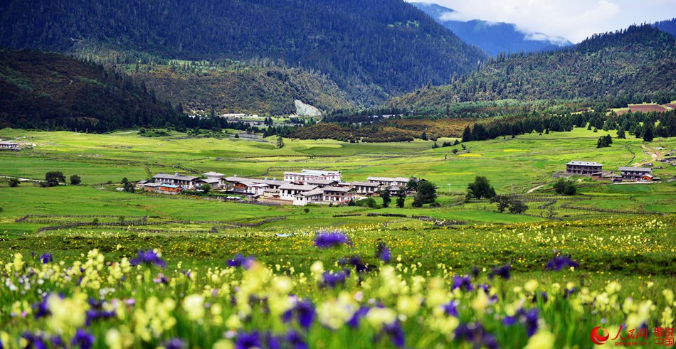 Breathtaking scenery of Tibet's Nyingchi