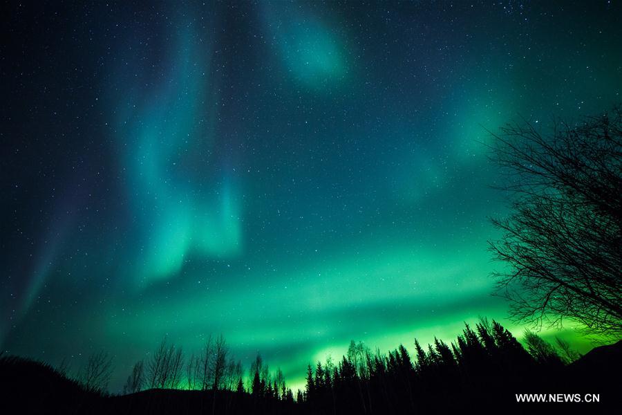 Aurora Borealis illuminate night sky in Alaska