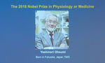 Japan’s Nobel harvest spurs reflection
