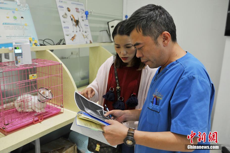 Woman spends 30,000 RMB to save her cat