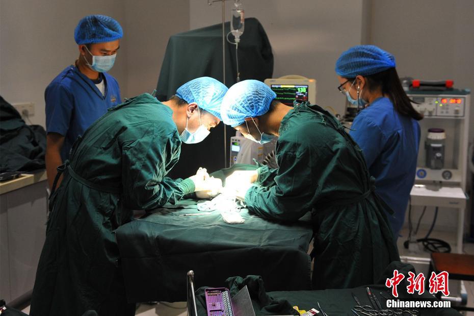 Woman spends 30,000 RMB to save her cat