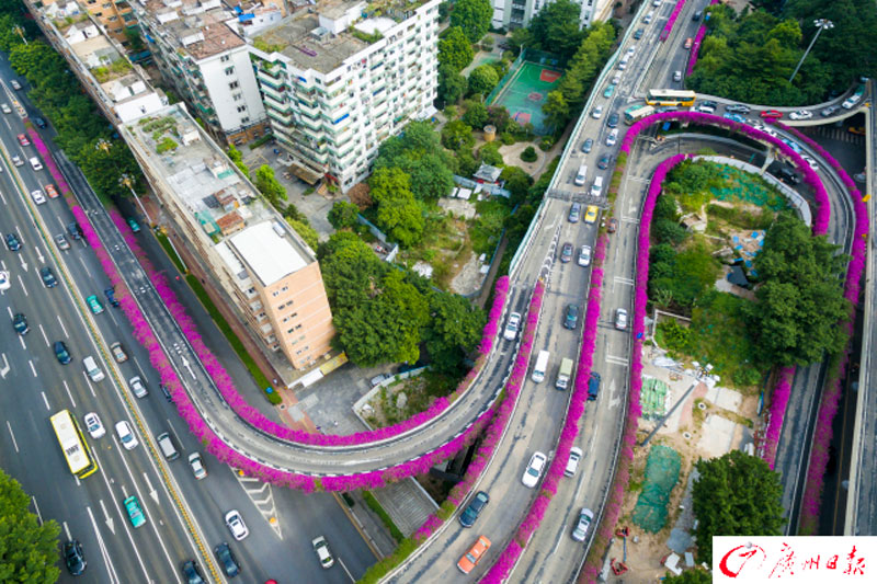 Blossoming paths in 'flower city'