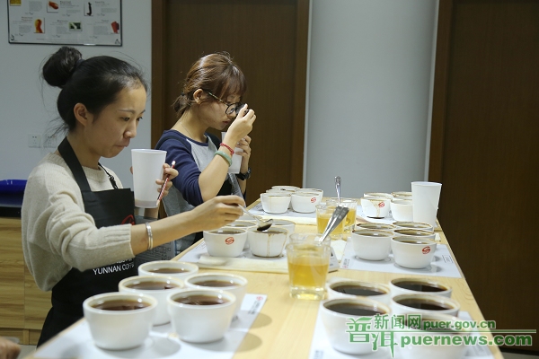 Pu’er becomes the “cradle” of professional coffee tasters