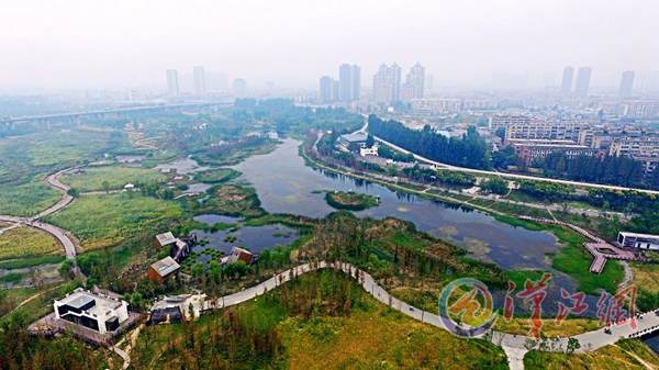 The fall at the Wetland Park is like a beautiful picture