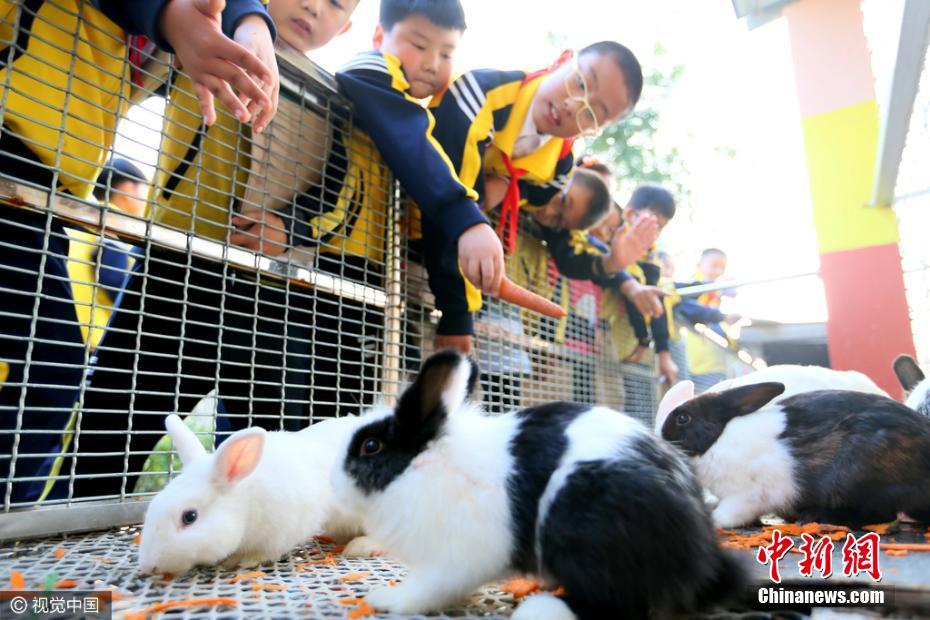 Shandong school sets up zoo on campus