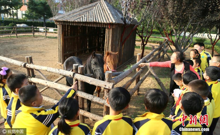 Shandong school sets up zoo on campus