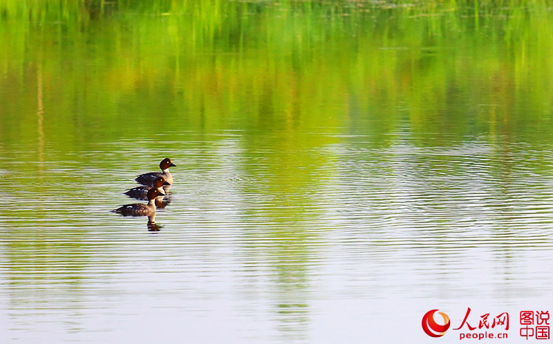 Scenery of arctic village in Heilongjiang