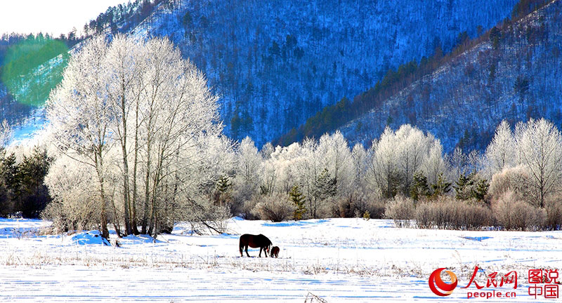 Scenery of arctic village in Heilongjiang