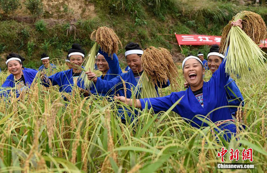 Dong ethnic minority women celebrate harvest in Guangxi 