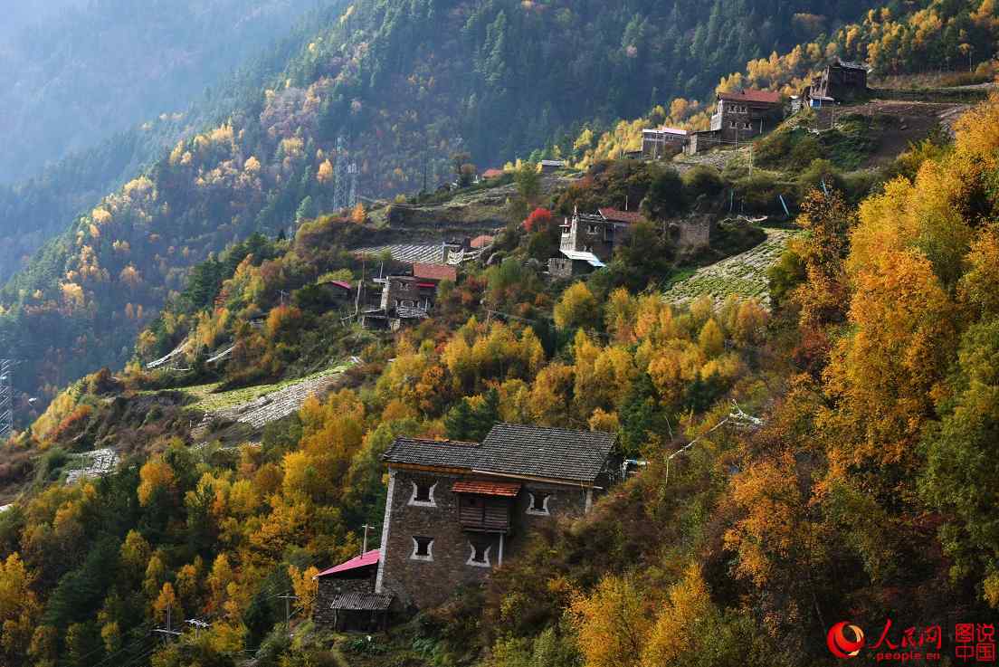 Colorful fall foliage in Miyaluo