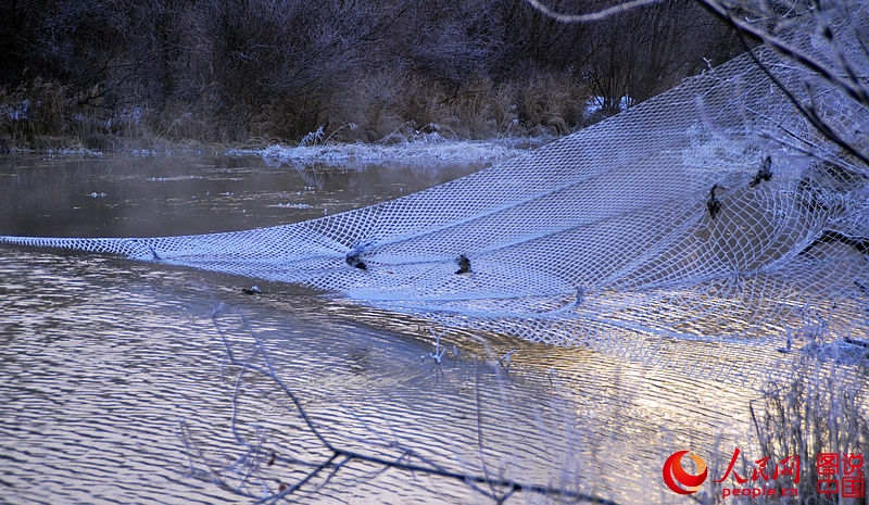 Illegal bird-hunting net deemed eyesore on beautiful river bank 