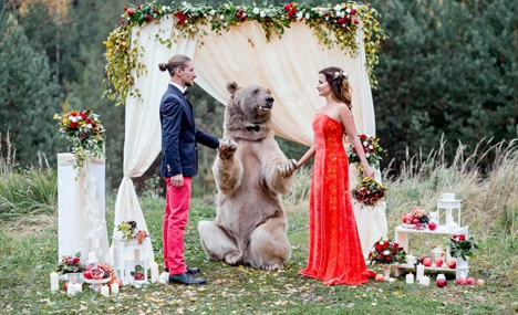 Bear acts as wedding witness in Russia