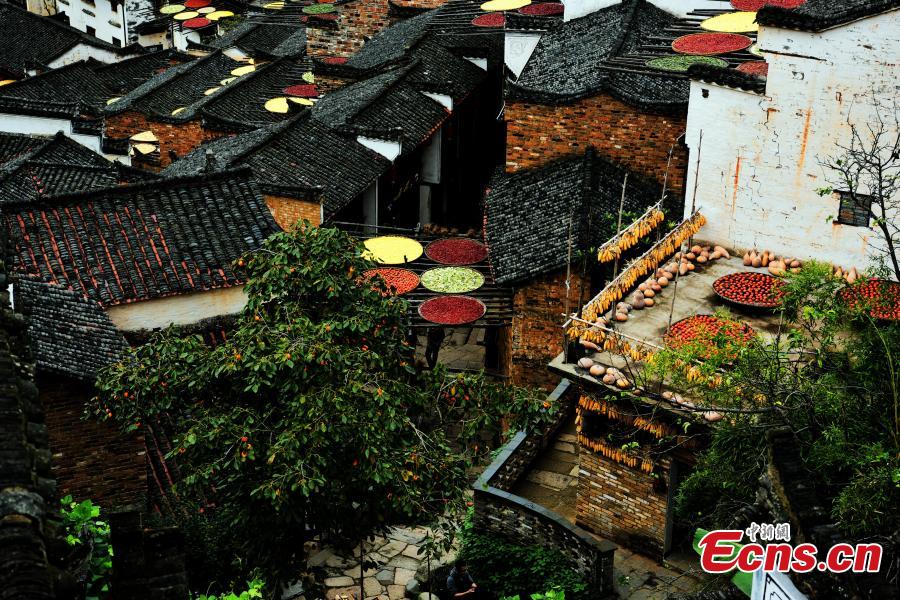 'Shaiqiu' tradition, a beautiful token of Chinese agrarian culture