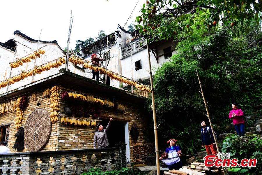 'Shaiqiu' tradition, a beautiful token of Chinese agrarian culture