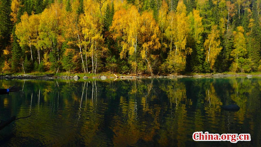 Autumn scenery of Kanas, Xinjiang