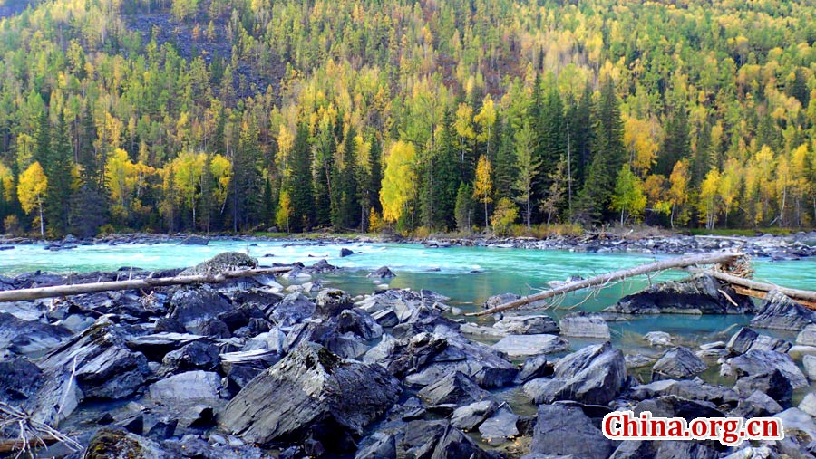 Autumn scenery of Kanas, Xinjiang