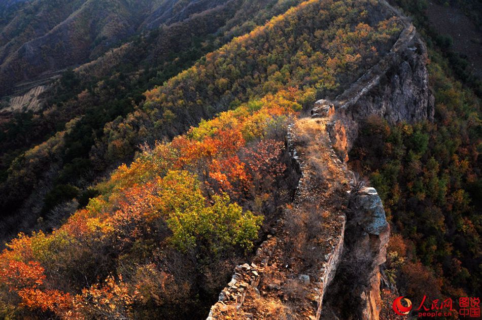 A glimpse of Zhuizishan Great Wall in late autumn
