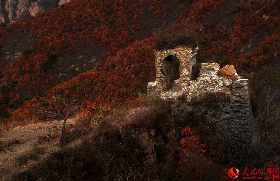 A glimpse of Zhuizishan Great Wall in late autumn