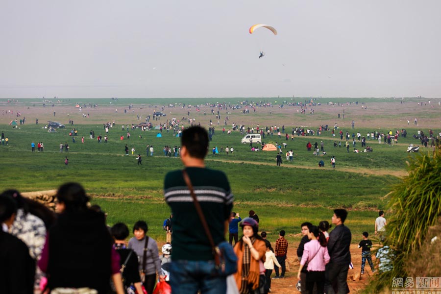 Sea of flowers in Poyang Lake