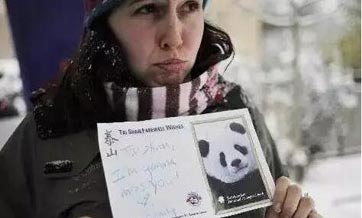 'Can you take Trump instead?': Americans express sadness upon pandas' departure