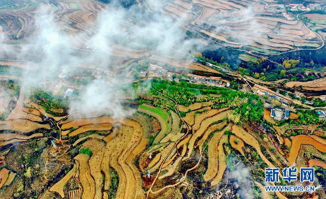 Amazing view of terrace in N China