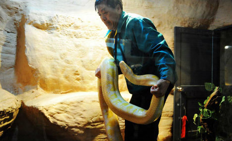 How to measure a python?