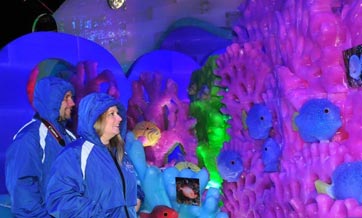 Chinese ice carvers bring Caribbean Christmas ice sculptures to Texas