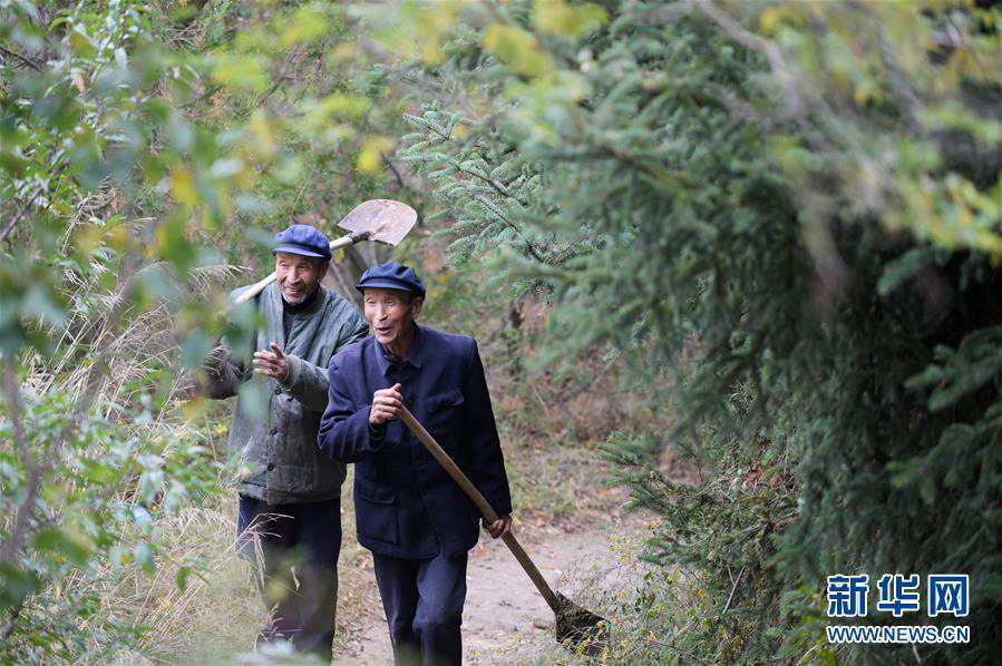 Twins in Gansu plant 70,000-sqare-meter forest