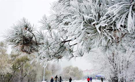 Ice crystals whiten city in Heilongjiang
