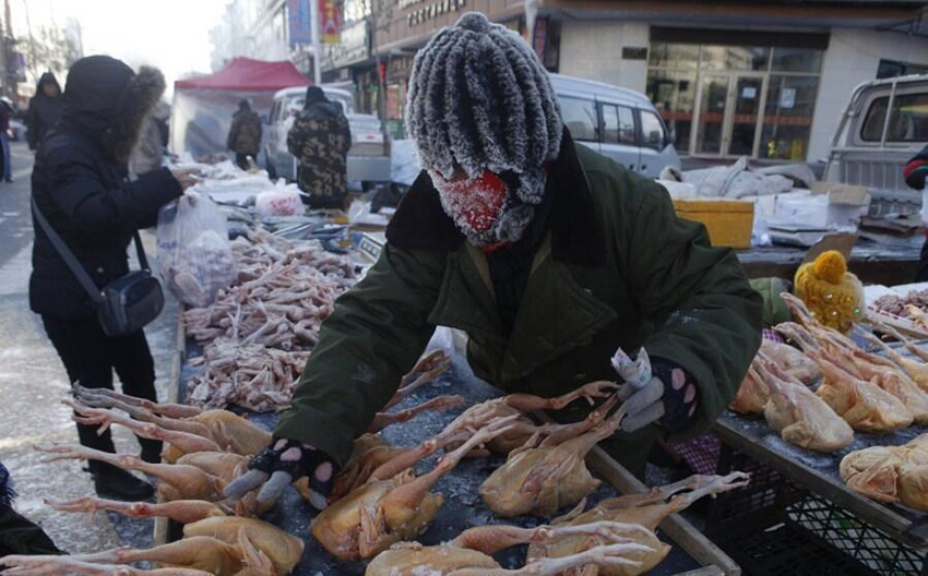 Merchants operate 'business as usual' in frozen Heilongjiang