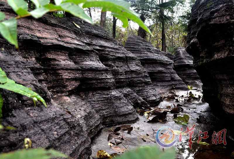 Bizarre stone forest