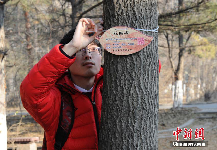 Trees given 'ID cards' at Changchun University