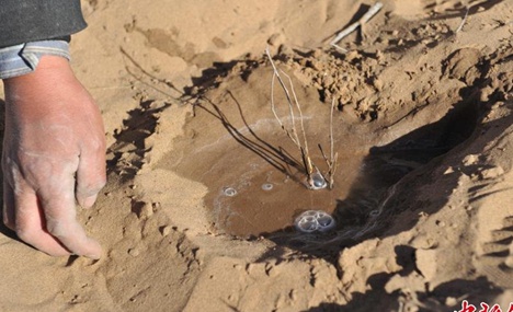 30 years' dedication to tree-planting in desert