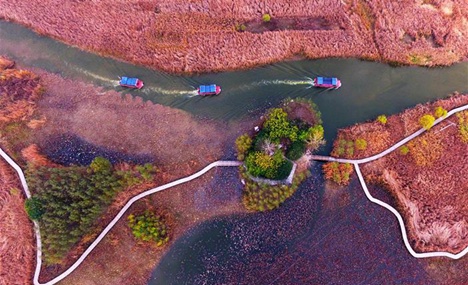 Summer & winter scenery at a wetland park in E China