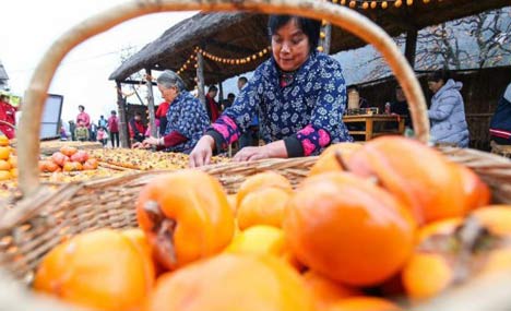Persimmon cultural festival held in E China