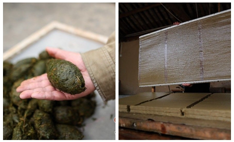 Retired teacher invents 'panda paper'