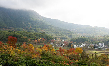 Scenery of Tachuan Village in E China's Huangshan