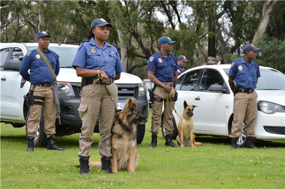 K9 Narcotics Tactical Unit Launched in 