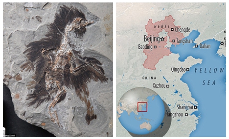 Dinosaurs could finally show their true colors