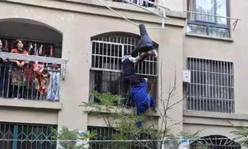 Dangerous! 90-year-old falls off building, saved by clothesline