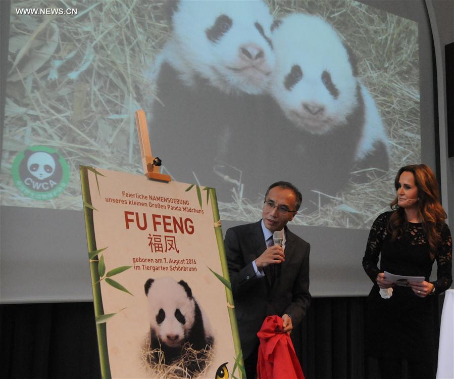 Twin panda cubs in Austria officially given names at ceremony