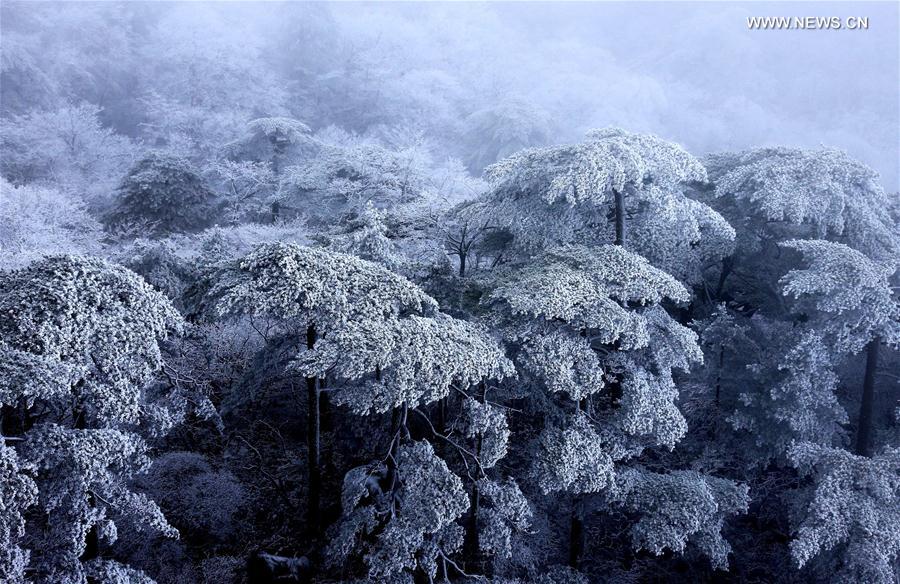 #CHINA-ANHUI-HUANGSHAN MOUNTAIN-SNOWFALL(CN) 