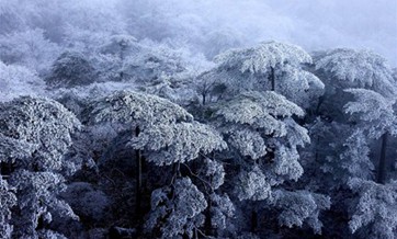 Snowy scenery of Huangshan Mountain in E China