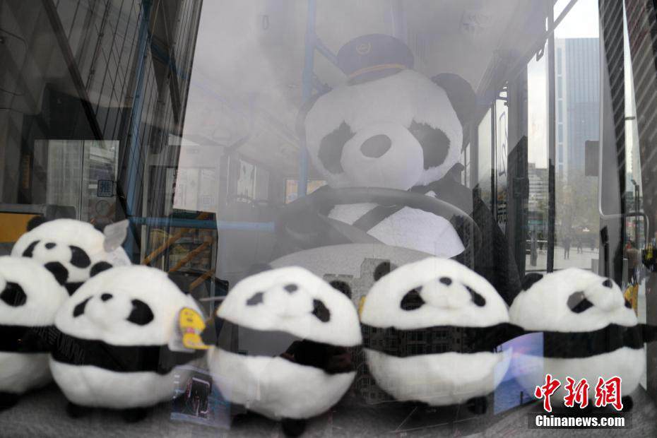 'Panda bus' appears in downtown Chengdu