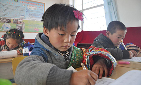 Measures taken to ensure Tibetan children's education