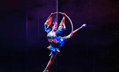 Chinese acrobatic art theatre performs in Canada