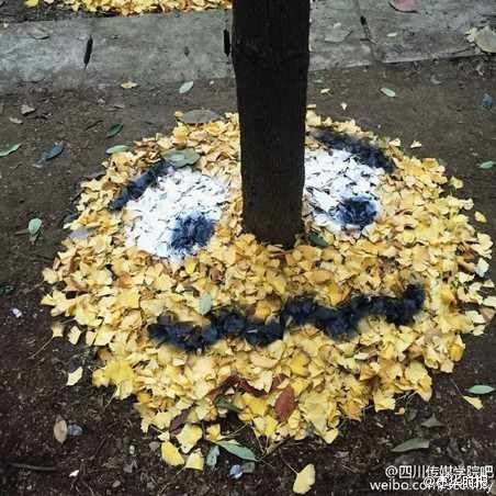 University students make smiley faces out of ginkgo leaves