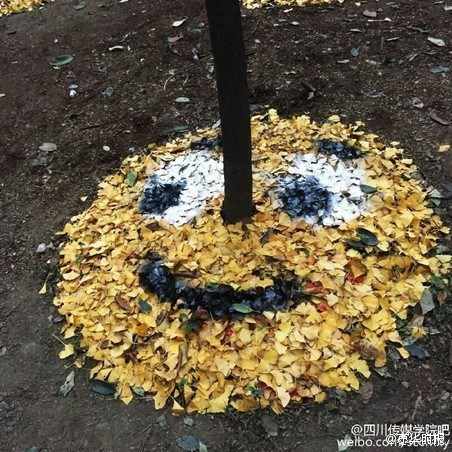University students make smiley faces out of ginkgo leaves