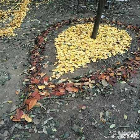 University students make smiley faces out of ginkgo leaves